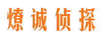 屏山市场调查